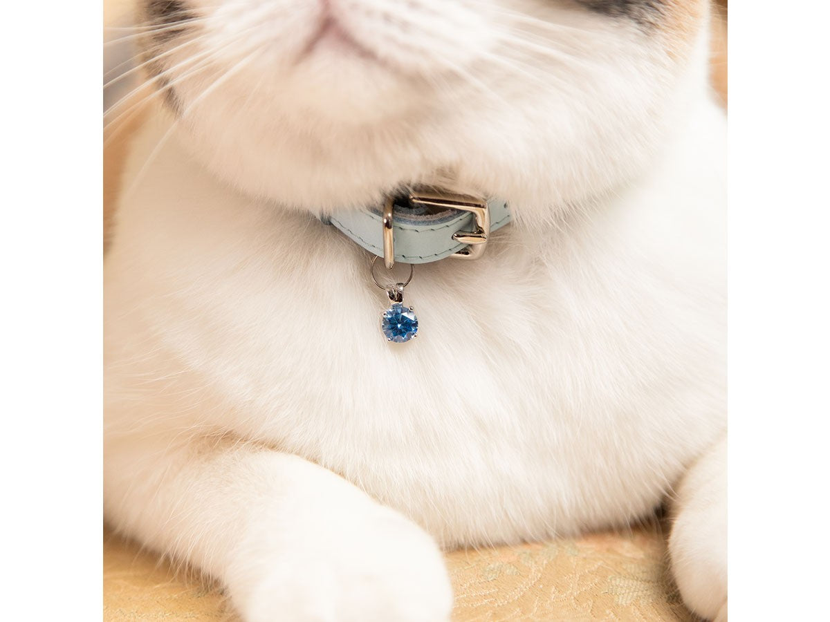 CAT COLLAR ROCOCO