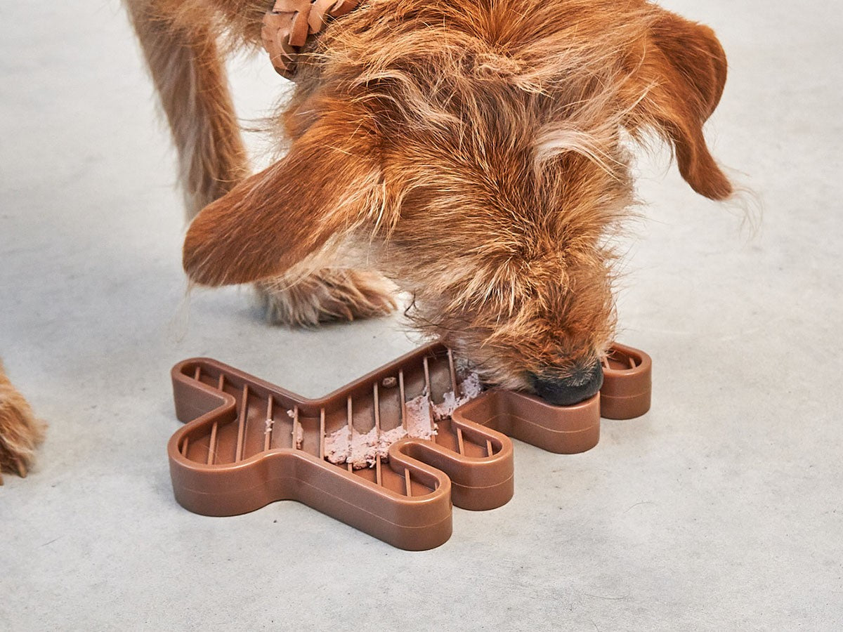 LEPRE ACTIVITY DOG TOY