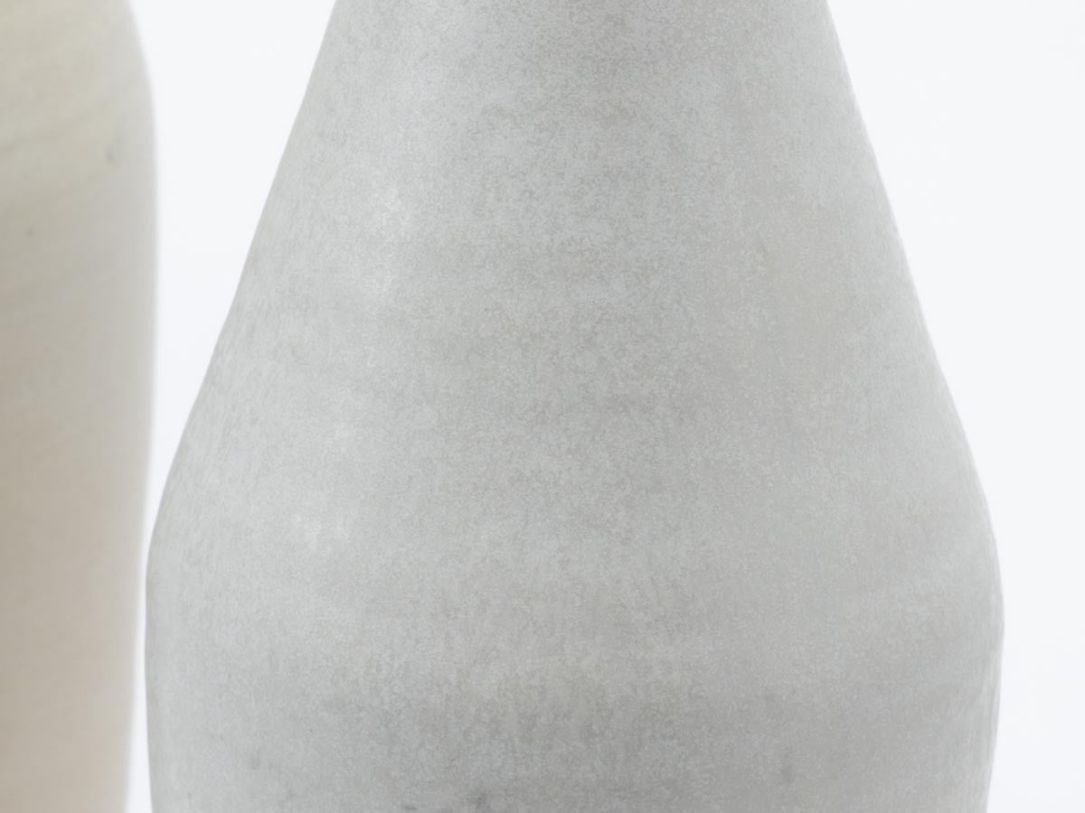 SHIGARAKI ION BOTTLE
