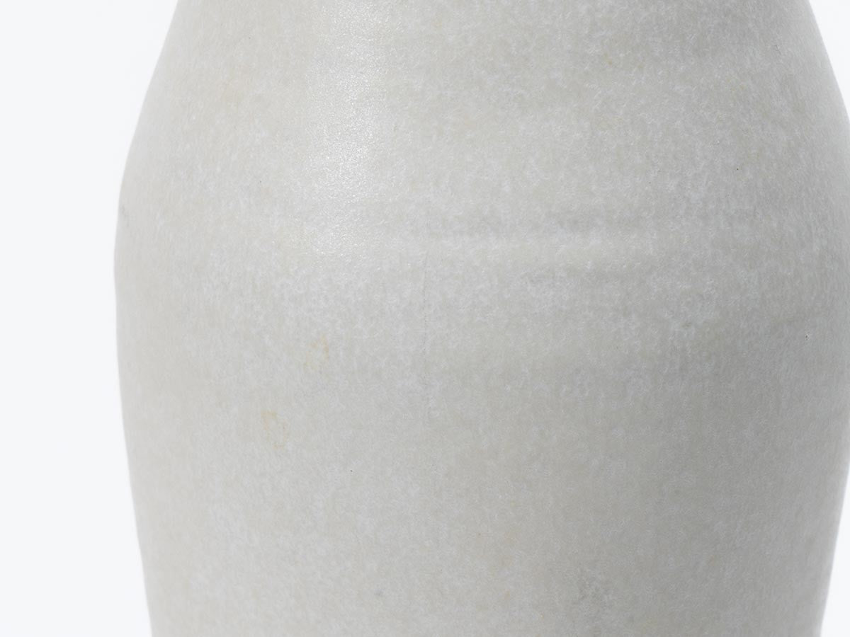 SHIGARAKI ION BOTTLE