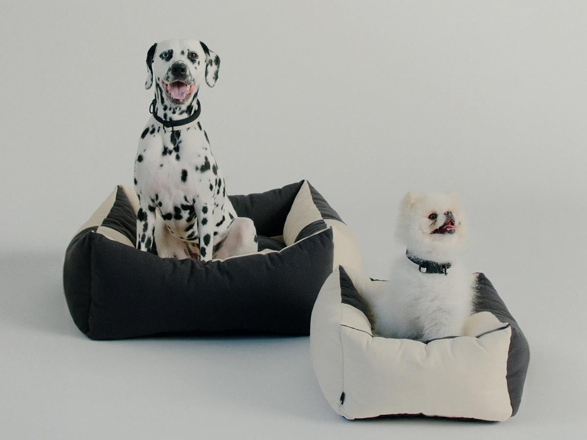 HAY DOGS BY HOLLY GOLIGHTLY DOGS BED X-SMALL