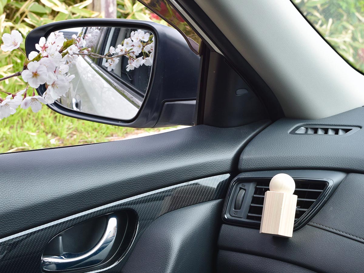 twig DRIVE AROMA SET