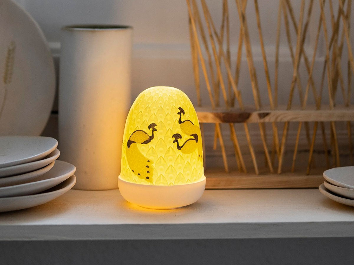 DOME LAMP