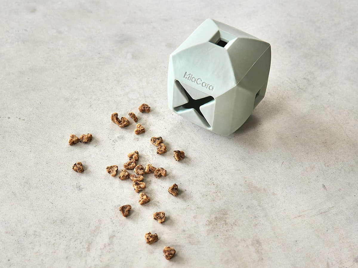 DADO DOG TOY_7