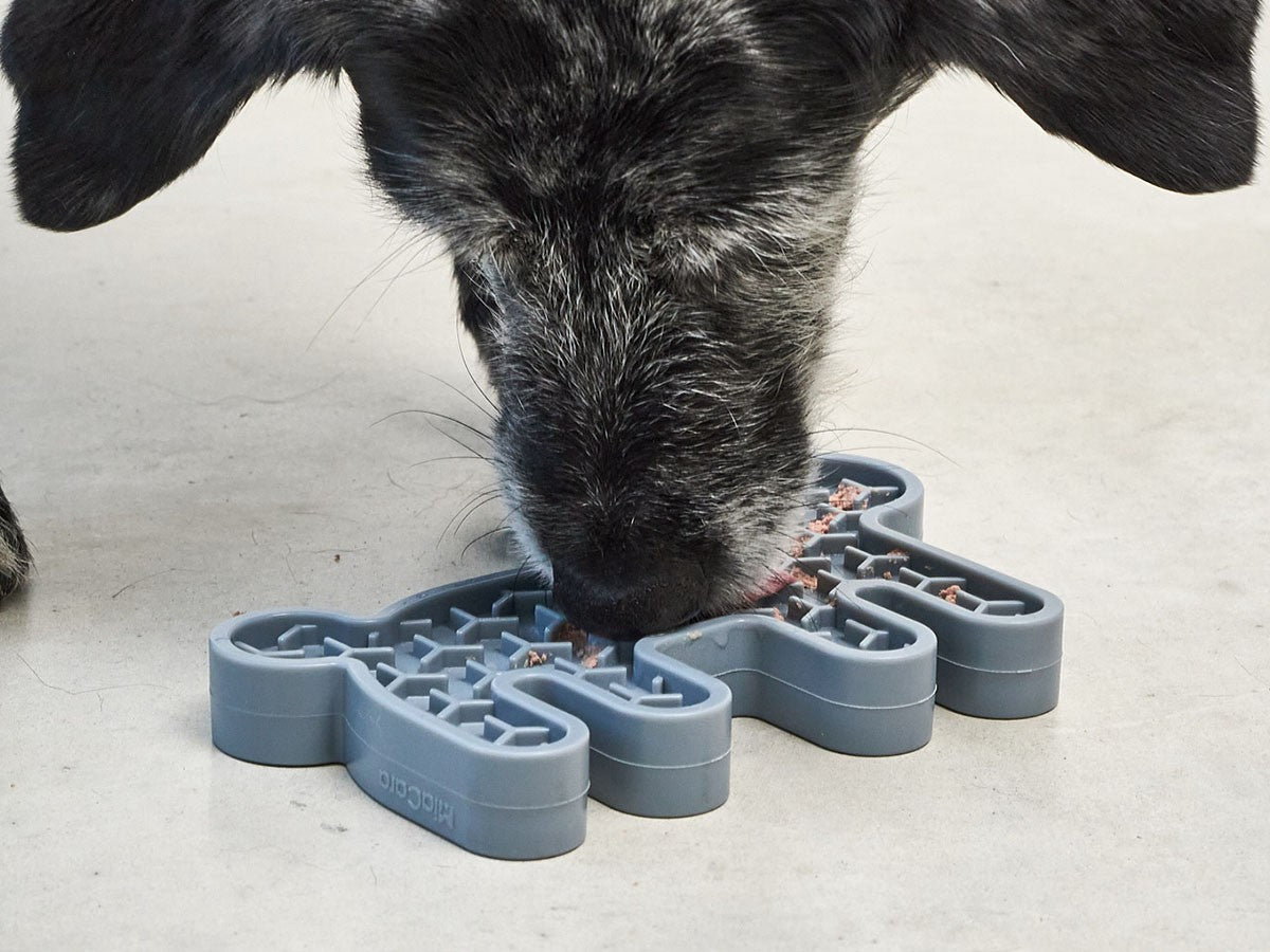 LEPRE ACTIVITY DOG TOY_23