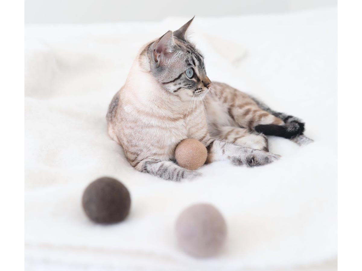 GLOBO CAT TOY