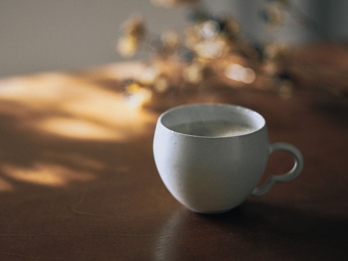 KANADE PAIR-MUG SHIRONERI_4