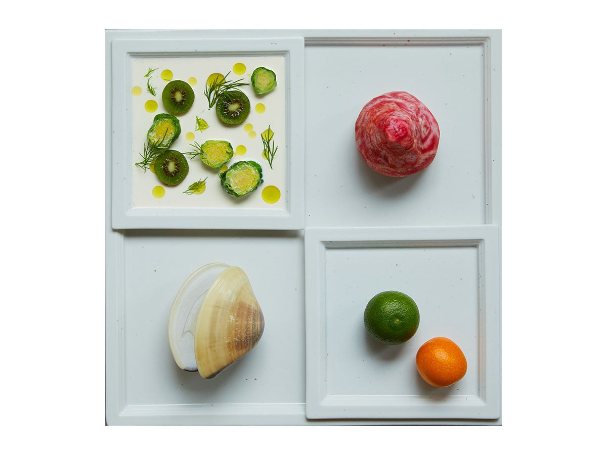TSUDOI PLATE SET SHIRONERI