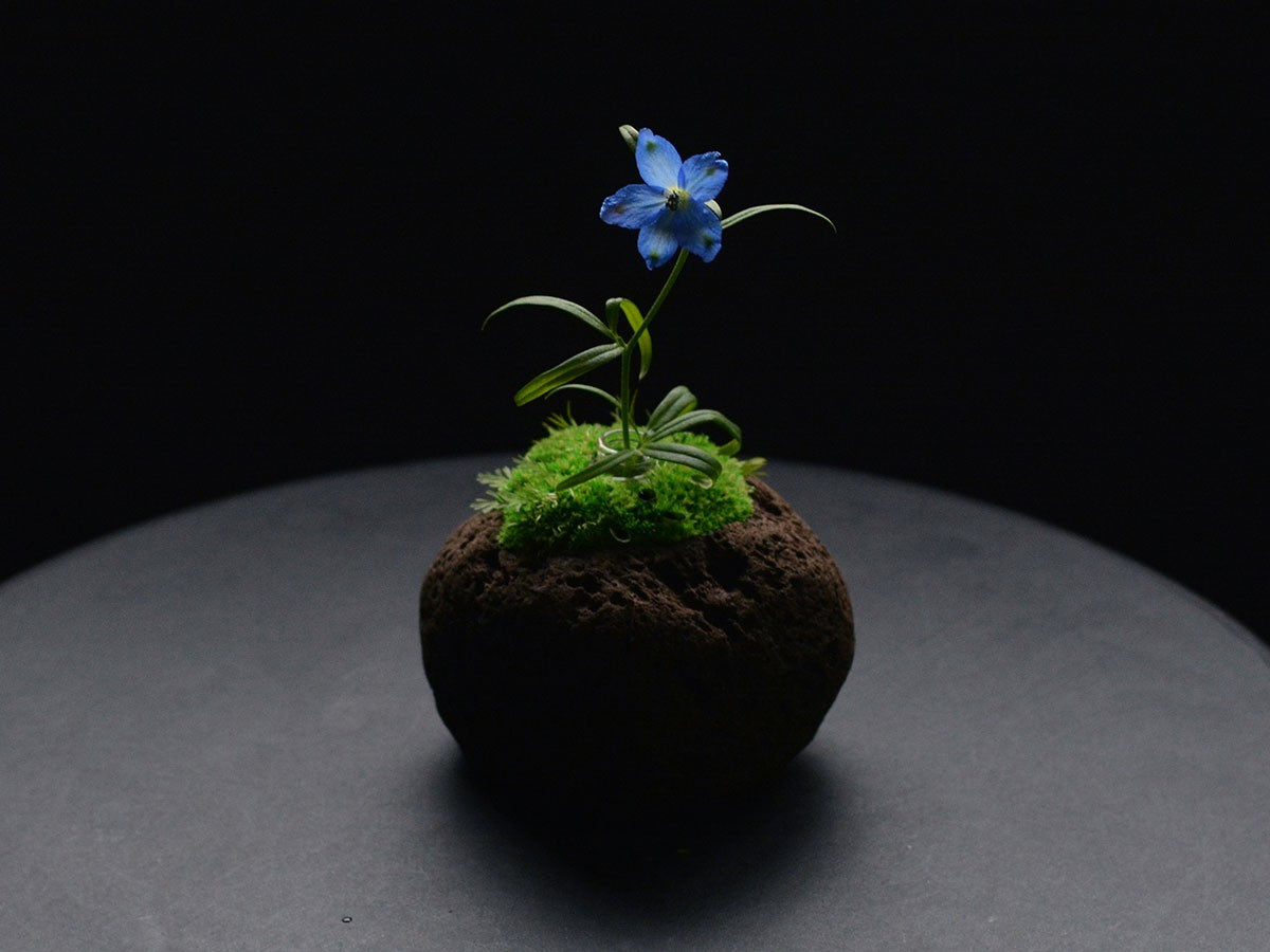 TOKIYAMA SMALL_5