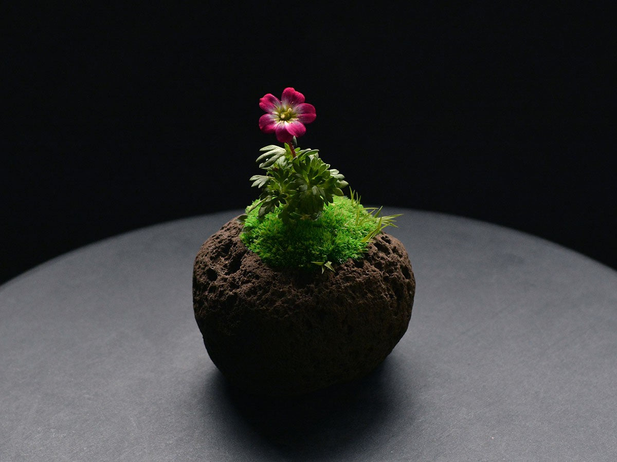 TOKIYAMA SMALL_4