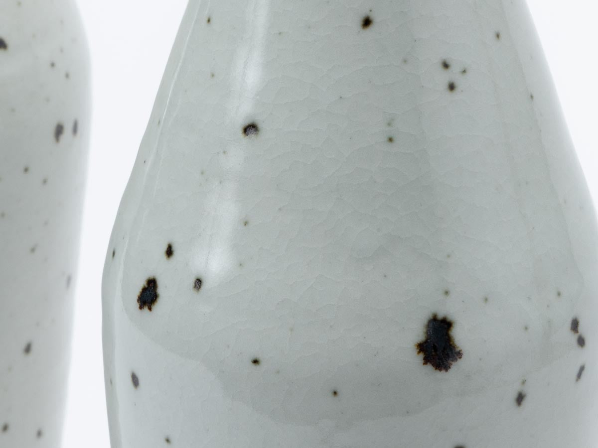 SHIGARAKI ION BOTTLE_13
