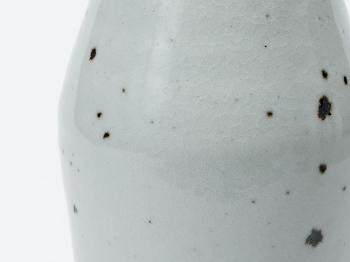 SHIGARAKI ION BOTTLE_14