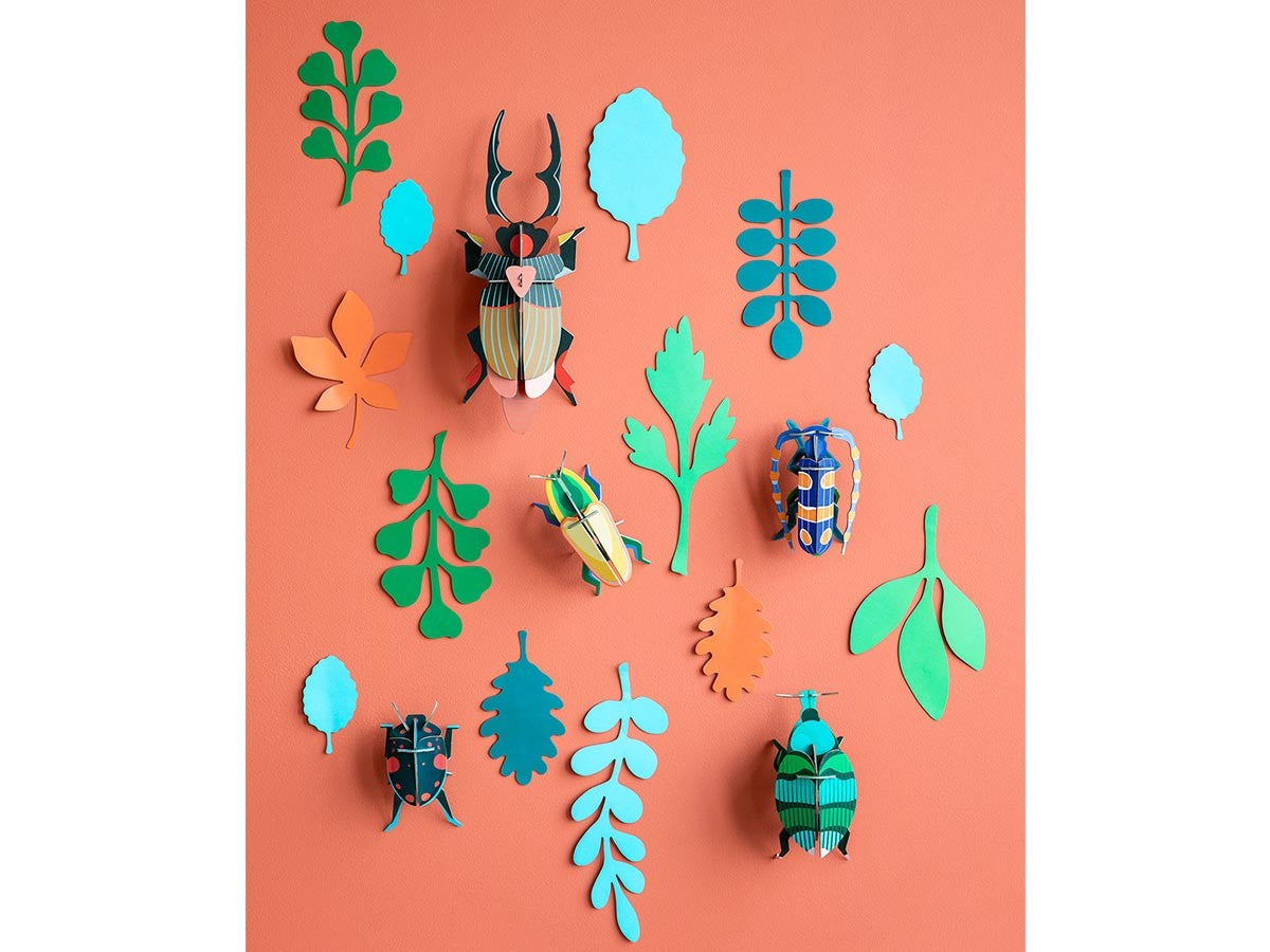 BEETLE ANTIQUARY_3
