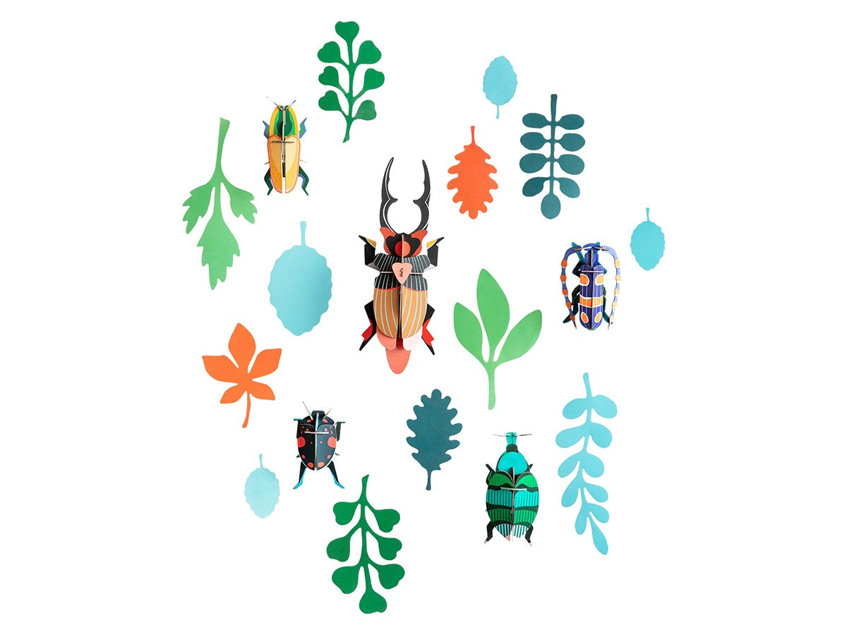 BEETLE ANTIQUARY_2