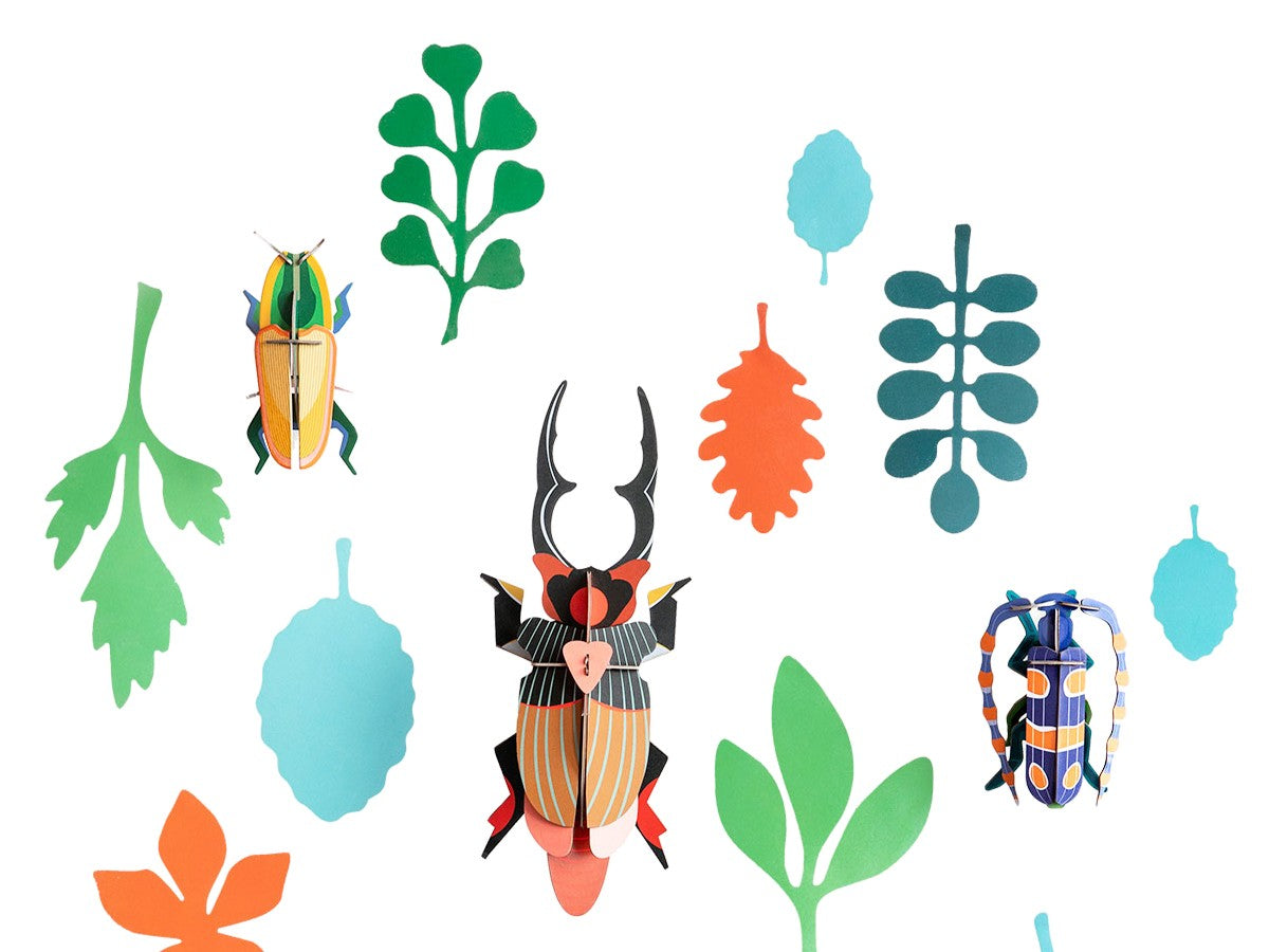 BEETLE ANTIQUARY