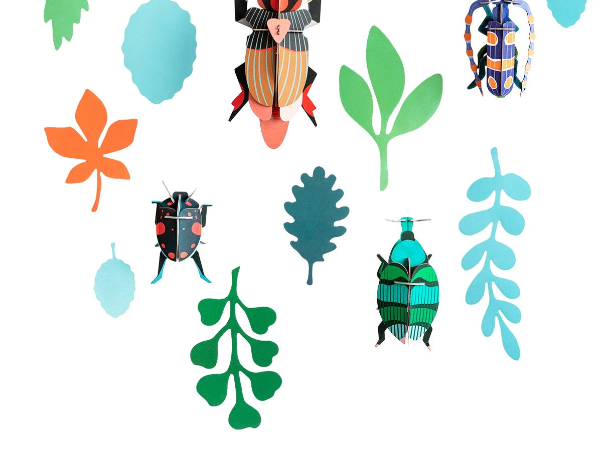 BEETLE ANTIQUARY_5