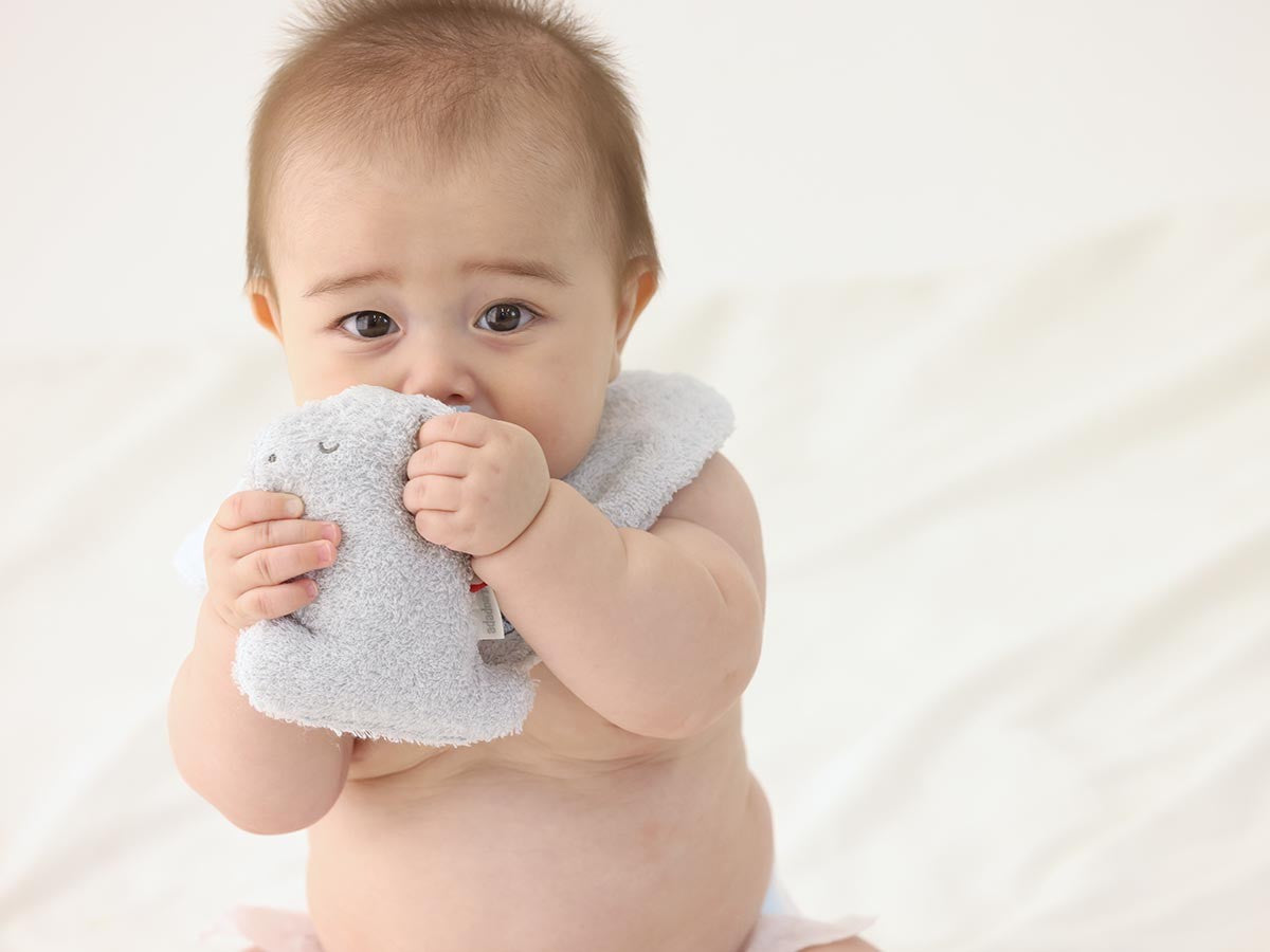HOODIE BATH TOWEL & RUTTLE SET DINOSAUR