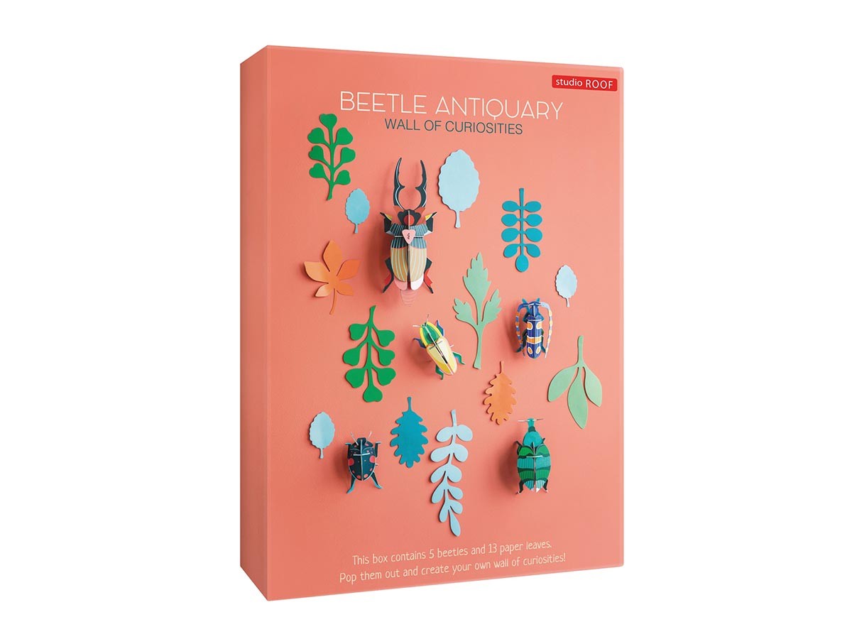 BEETLE ANTIQUARY