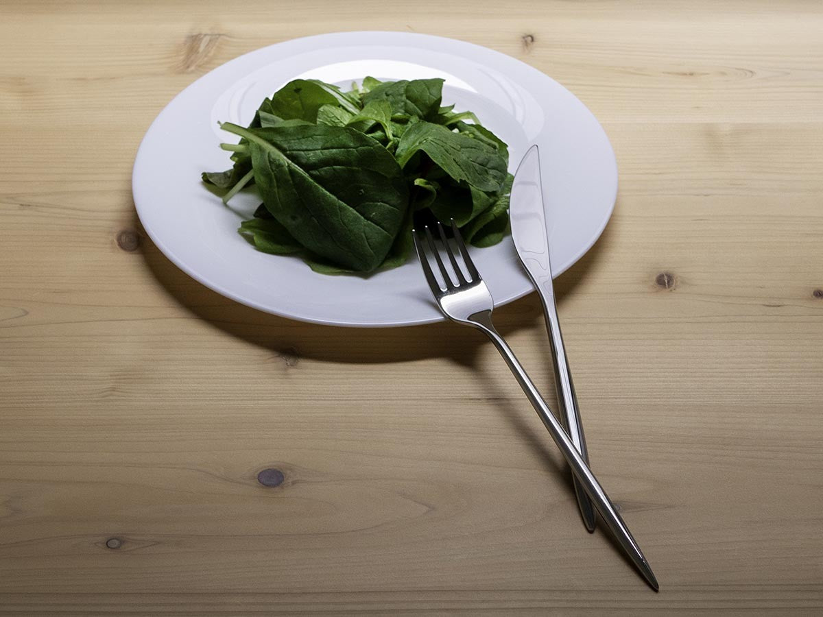 SUGATA CUTLERY SET