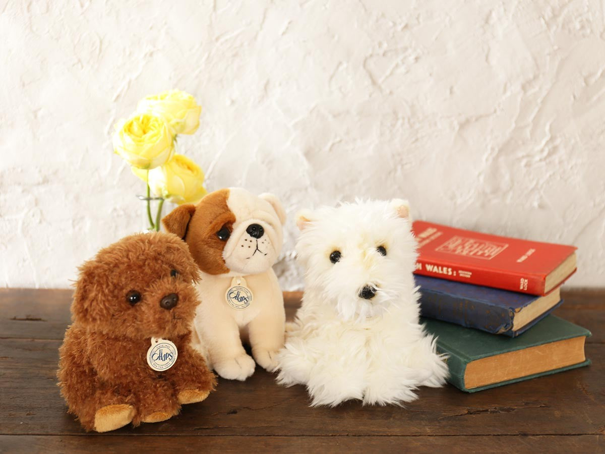 B.T. CHAPS LABRADOODLE_15