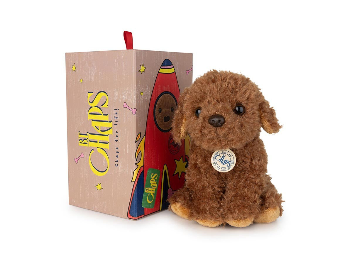 B.T. CHAPS LABRADOODLE