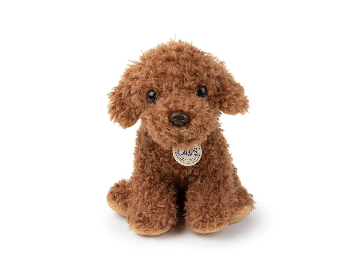 B.T. CHAPS LABRADOODLE_2
