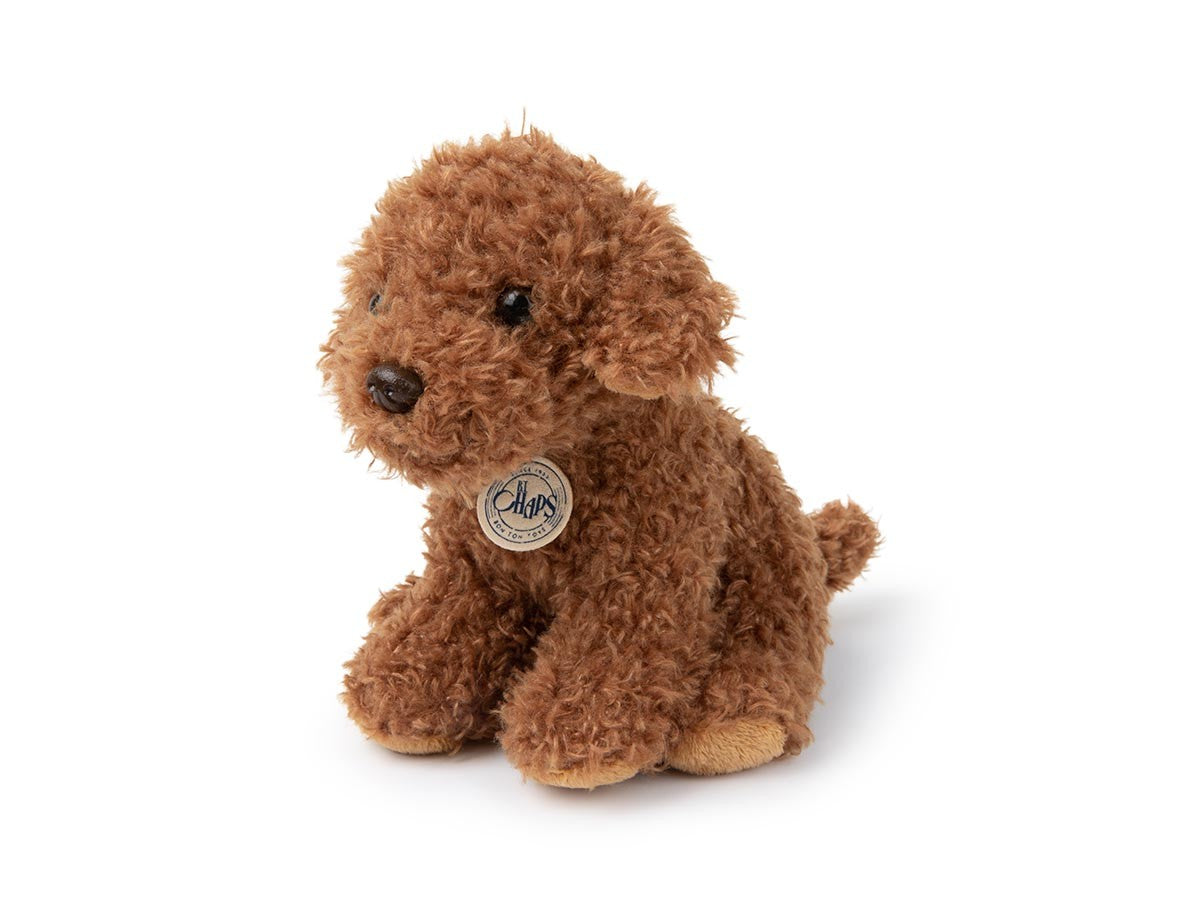 B.T. CHAPS LABRADOODLE_3