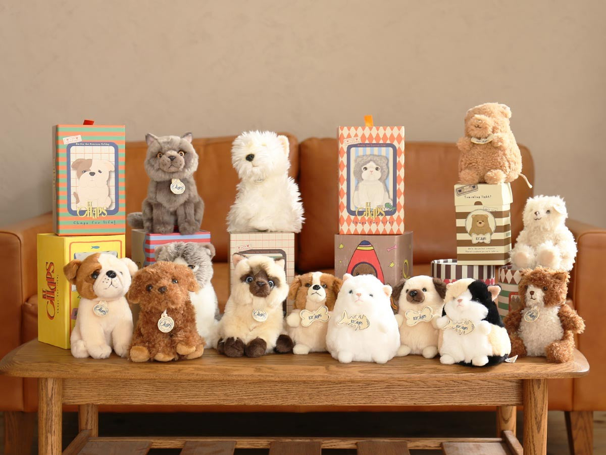 B.T. CHAPS LABRADOODLE_20