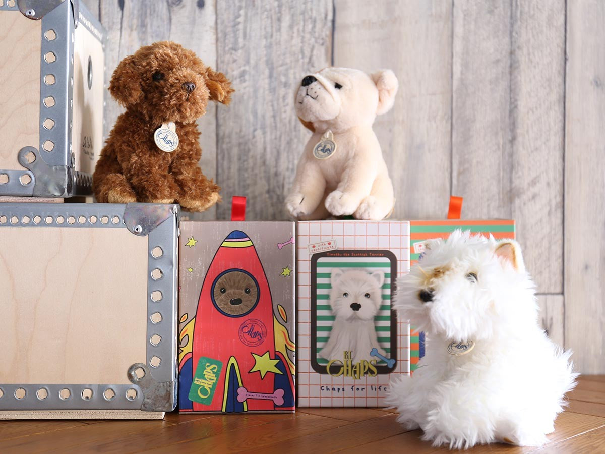 B.T. CHAPS LABRADOODLE_14