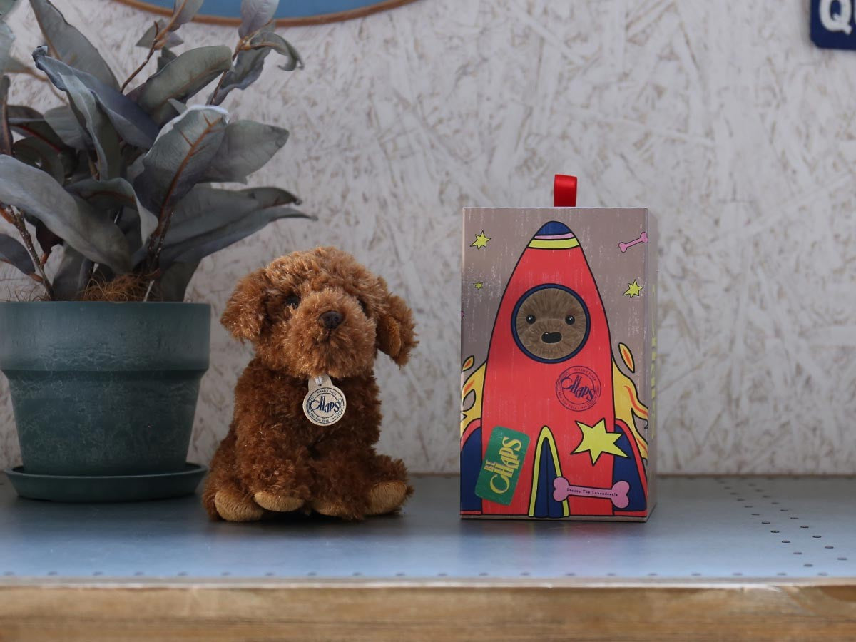 B.T. CHAPS LABRADOODLE