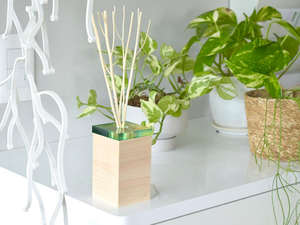 ACRYLIC STICK DIFFUSER
