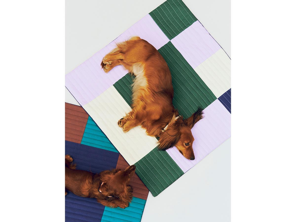 HAY DOGS BY HOLLY GOLIGHTLY DOGS TRAVEL BLANKET_5