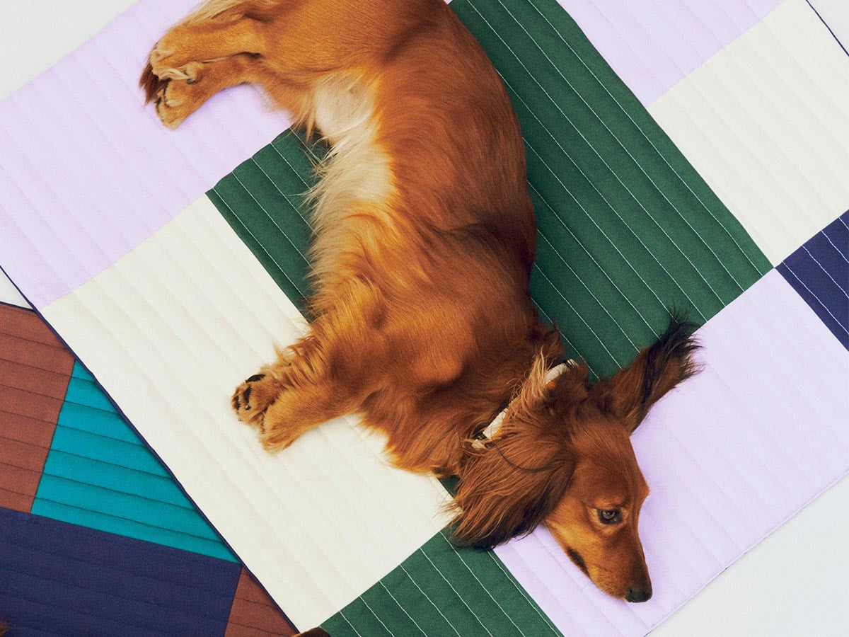 HAY DOGS BY HOLLY GOLIGHTLY DOGS TRAVEL BLANKET