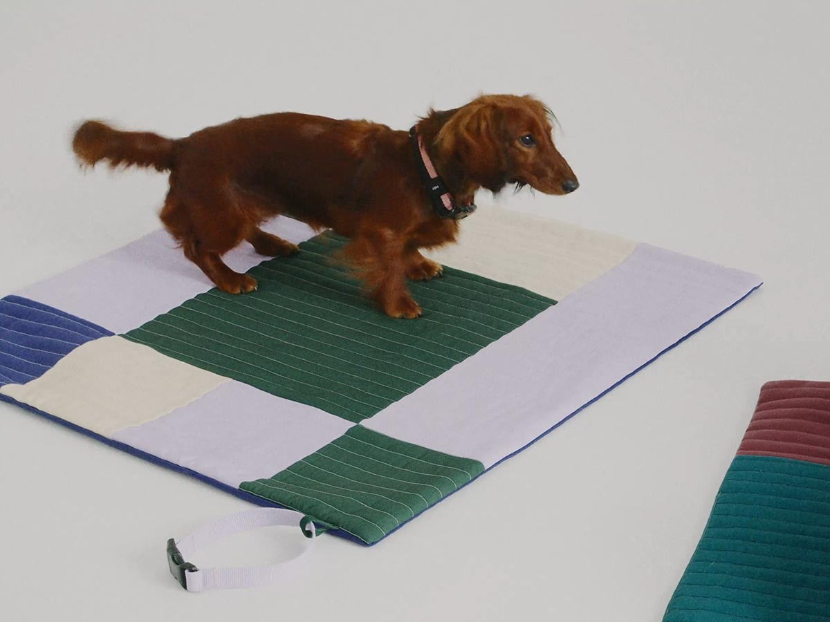 HAY DOGS BY HOLLY GOLIGHTLY DOGS TRAVEL BLANKET
