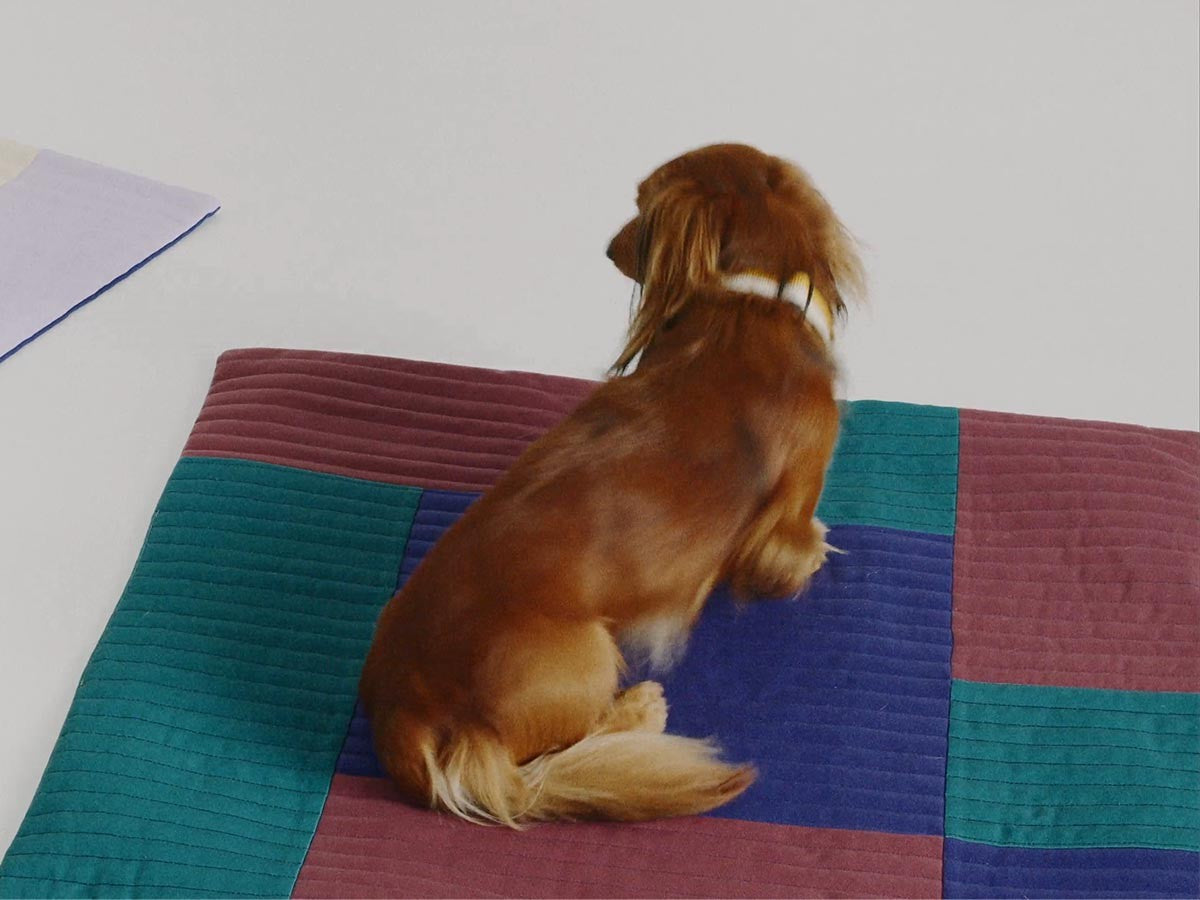 HAY DOGS BY HOLLY GOLIGHTLY DOGS TRAVEL BLANKET_8
