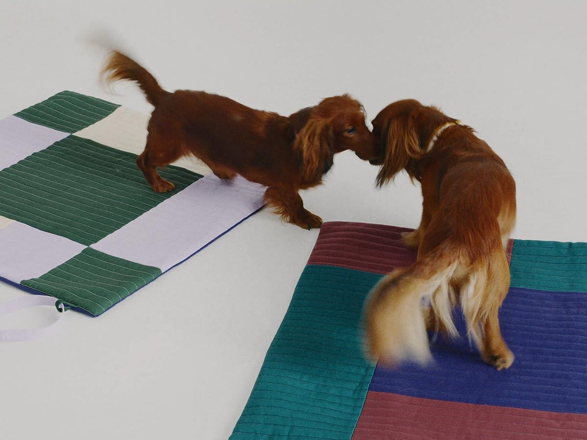 HAY DOGS BY HOLLY GOLIGHTLY DOGS TRAVEL BLANKET_7