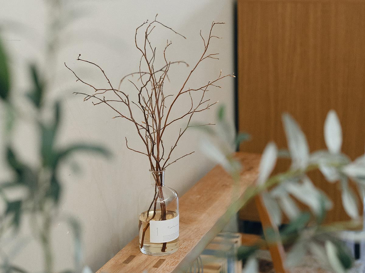 HIMESHARA DIFFUSER SET_3