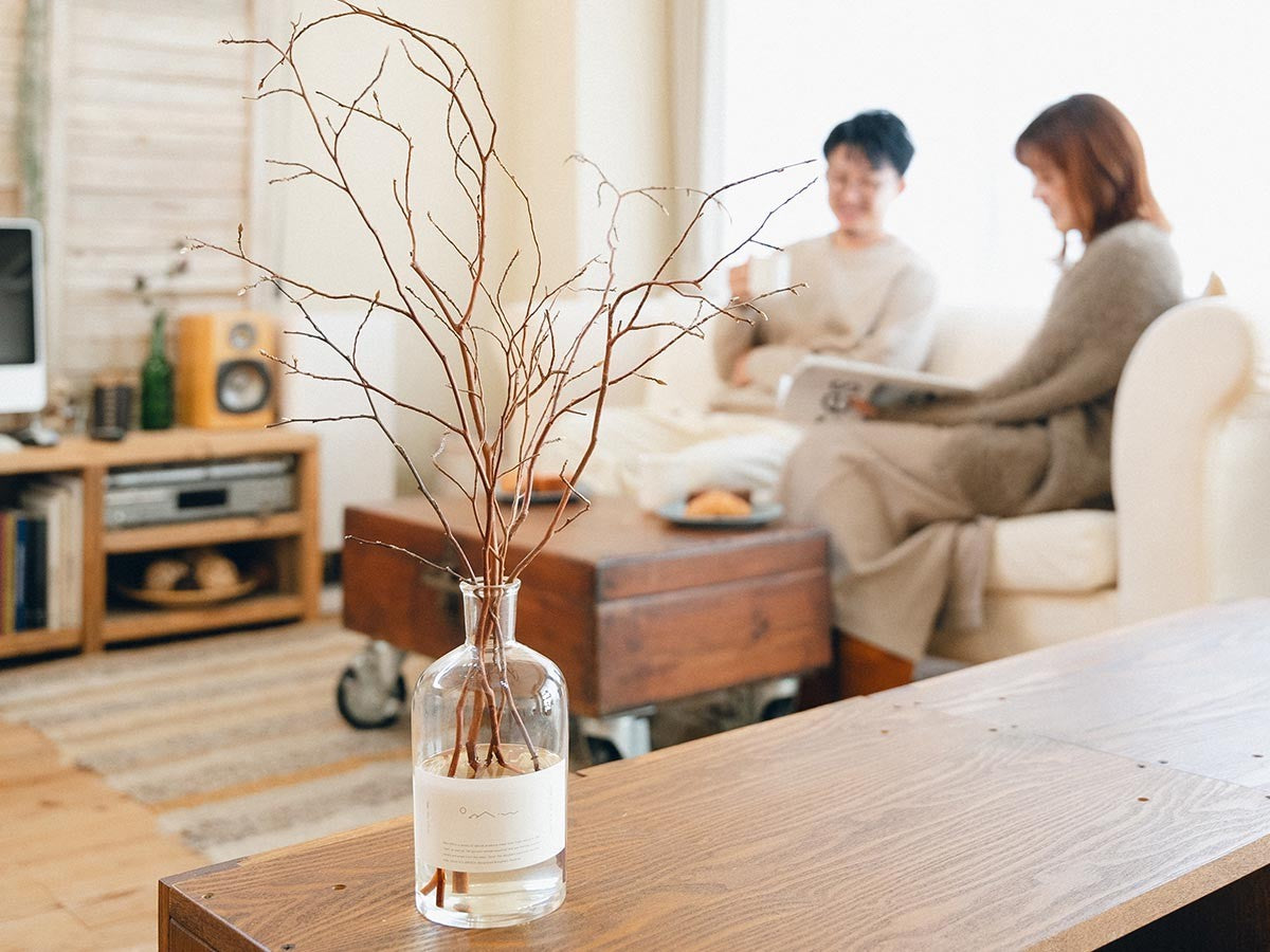 HIMESHARA DIFFUSER SET_11
