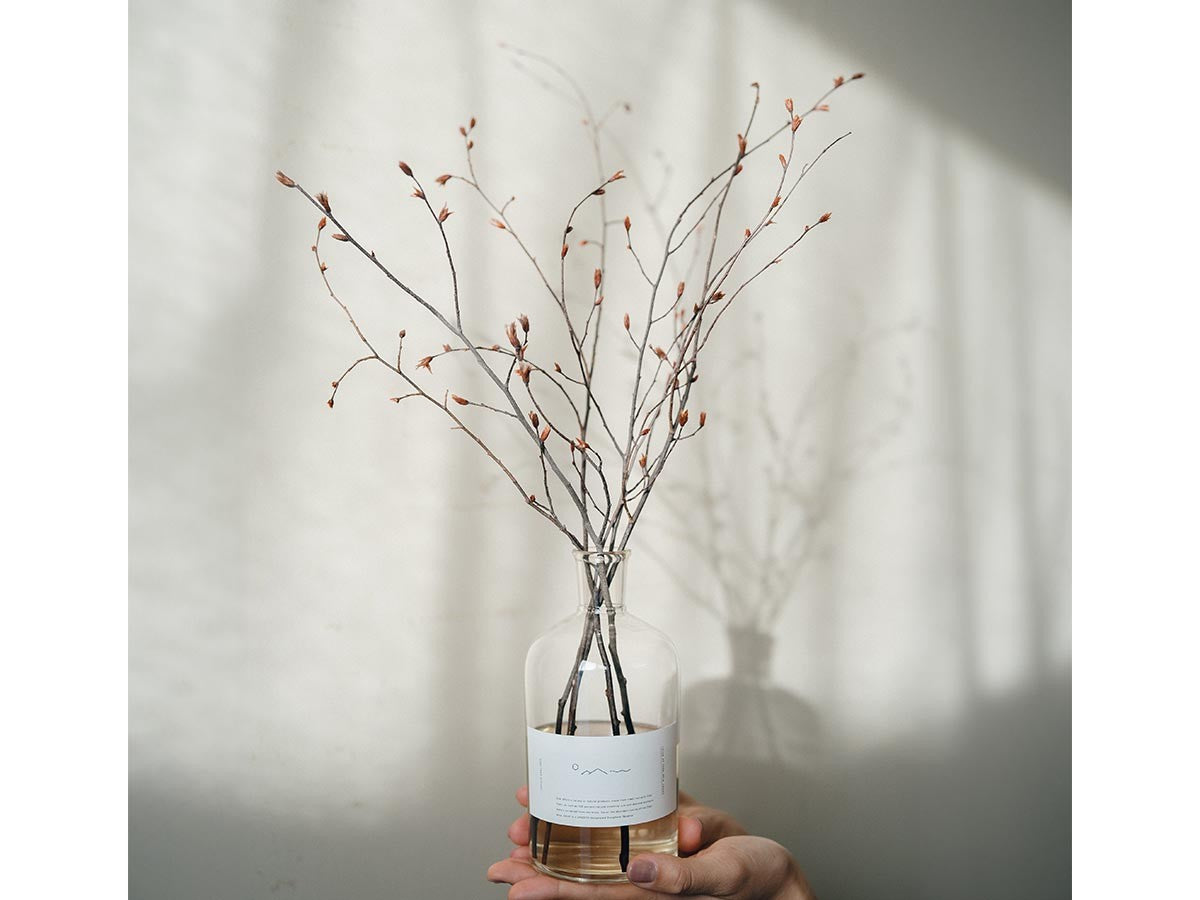 INUSHIDE DIFFUSER SET