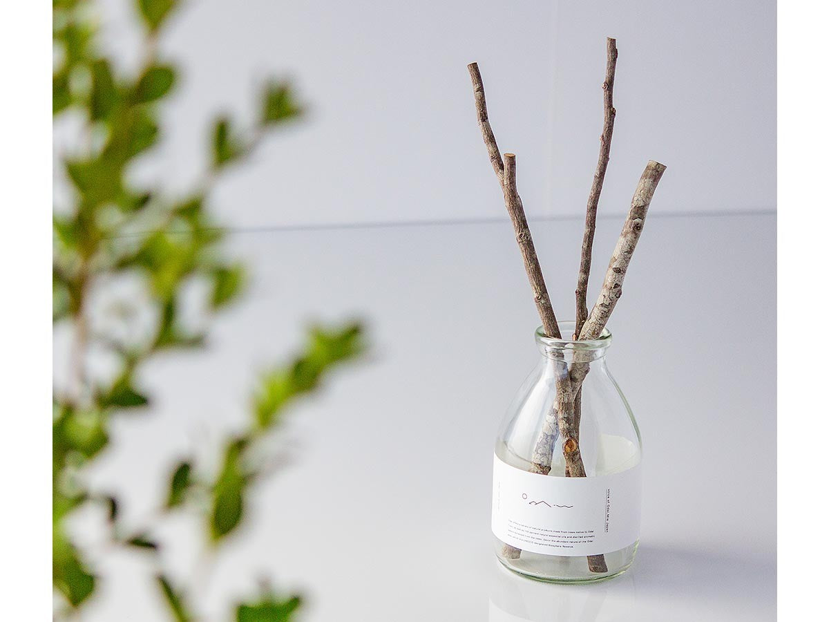 REED DIFFUSER SET INUSHIDE_5